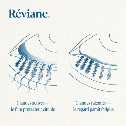 Masque vapeur pour un regard reposé